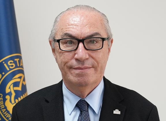 Prof. Dr. Haluk Özsarı